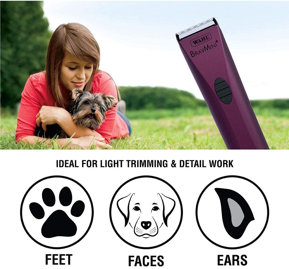 Wahl bravmini shop cordless pet trimmer