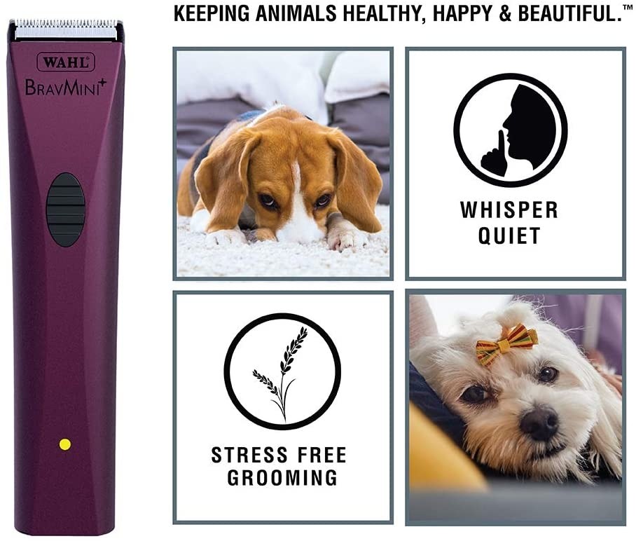 ShaverOutlet ShaverOutlet Wahl BravMini Professional