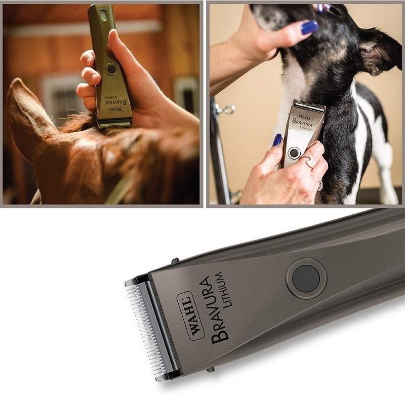 Wahl top bravura 41870