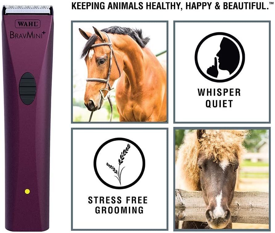 Wahl bravmini cordless pet trimmer cheap